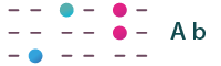 braille_Ab